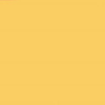 Vinilo de Corte LC2000 0.61X50m